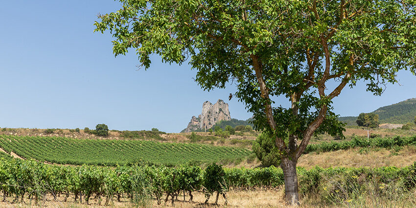 Martínez Lacuesta: Rioja está más viva que. nunca